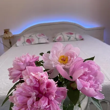 Viktoria * راكفيري